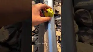 Train vs अमरूद #railtrack #railroad  #railway #experiment #train #railwayroute #shorts #rail #fruit