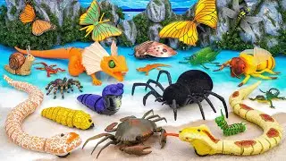 Ultimate ZURU Robo Alive Insects ASMR 🦎 Spider, Yellow Snake, Butterfly, Crab (No Talking)
