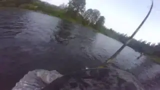summer run steelhead on a jig
