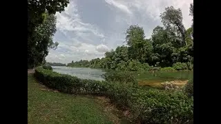 Belutong  - MacRitchie