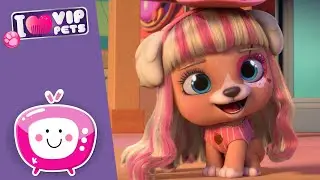 🥳 🎂 IMPREZKA URODZINOWA 🎂🥳 VIP PETS 🌈 NOWY ODCINEK ✨ Bajki dla DZIECI po POLSKU