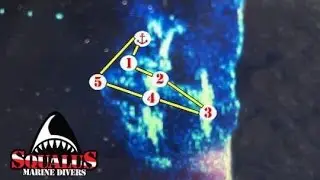 A PLANE CRASH AFTERMATH - SQUALUS MARINE DIVERS