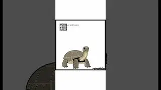 Pet Foolery: Tortoise (Comic Dub)