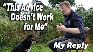 This Is Why Dog Training Videos Don&rsquo;t Work for You&rdquo; | Honest Advice | RL Dog Training