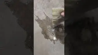 (482) Фильтрующий материал для водоотделителя/водяного блока FASS Extreme xws 3002