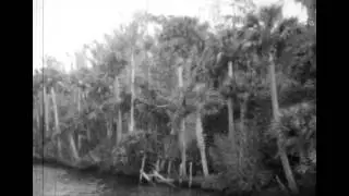Old Glory Up The Tomoka River