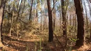 Deer dragging the easy way #deerhuntingwithdogs
