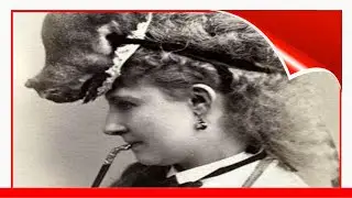Victorian Taxidermy Animal Hats !