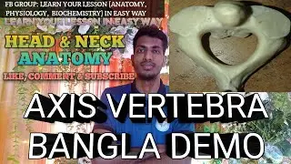 Axis Vertebra Anatomy In Bangla  | Head & Neck |  |Anatomy | #anatomy #bones #mbbs