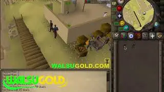 Staking Guide Runescape