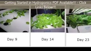 How to Grow Hydroponics for Beginners!!! - Getting Started in Hydroponics PDF Available!!!