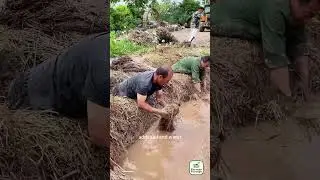 An ancient technique of building houses using mud and grass