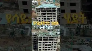የሳይታችንን ሂደት ጎብኙልን | DMC REAL ESTATE | #realestate #dmcrealesate #apartment