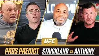 Pros Pick the Winner: Strickland vs Hernandez &mdash; Fighter Predictions You Didn&rsquo;t Expect
