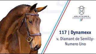 Holsteiner Elite-Reitpferdeauktion: Nr. 117 | Dynamexx | Auftaktpräsentation 24.11. 2025