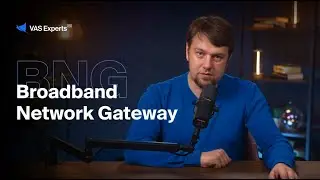 Stingray BNG Overview