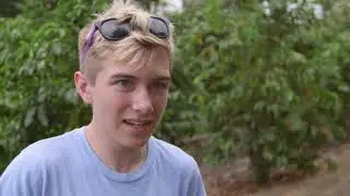 WorldStrides Student Travel Programs to Hawaii