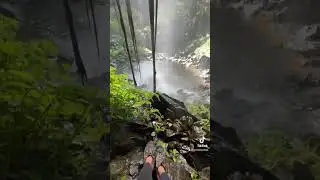 Dorrigo National falls #australia #travel #nsw #feelnsw #nature #waterfall