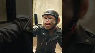 A Monkey Is Vlogging His Jungle Life on a Motorcycle 😱📱