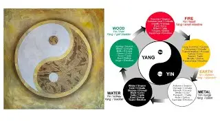 YIN YANG THEORY QUIZ