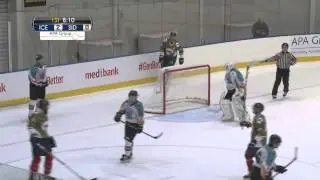 AIHL 2015 - Week 1: Sydney Ice Dogs @ Melbourne Ice