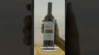 Extreme Altitude Wines of Argentina... check out our channel for more! #wine