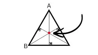 Auxiliary Elements of Triangle
