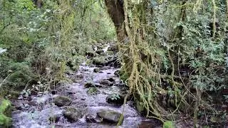 Savegre River in Costa Rica