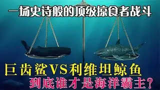 利维坦鲸vs巨齿鲨，谁将是这场史诗般战斗的最终赢家？