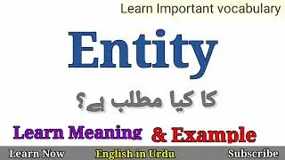 Entity Meaning in Urdu