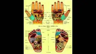 Hand Feet Reflexology Charts Kansa Thali Ayurvedic Massage Therapy Machine Faridabad #health #best