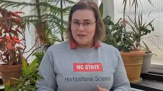 TH2: Program Development - Introduction