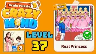 Brain puzzle 3 crazy mind level 37 solution walkthrough ( real princess ) 