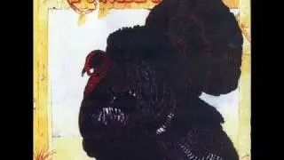 Wild turkey - Brother