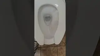 Absolutely awful Toto Dynamax Tornado Flush 