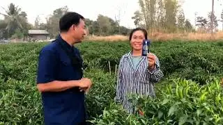 ดกอะไรเบอร์นี้ มันเกินปุยมุ้ย 🌶️🌶️🌶️🌶️🌶️🌶️🌶️🌶️🌶️