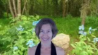 Taurus June 2015 Horoscope Forecast