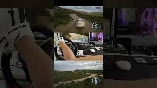 WRC Italy &ndash; Sponsored by Chaos