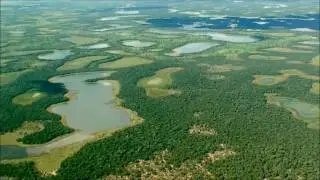 Almir Sater - Luzeiro / Pantanal Mato-Grossense