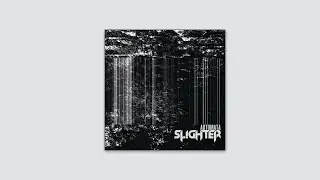 Slighter - A Moment Of Inexplicable Clarity (featuring R. A. Desilets) [Official Audio]