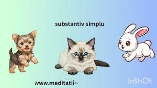 Gramatica distractivă: lecția despre substantiv