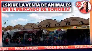 Venta de animales sigue pese a suspensi&oacute;n en el Mercado de Sonora | DPC con Paola Rojas