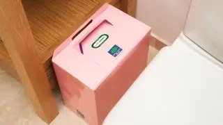 The Pink Sanitary Bin from Brilliant Bins