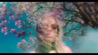 Psychedelic Ambient - Council of one - myceliosphere