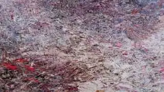 Ivan Marchuk clip art exhibition in Krakow! 2015.