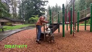 Pickles Novice Parkour Title