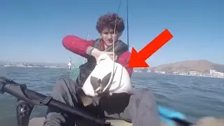 Videos That Are Oddly Terrifying