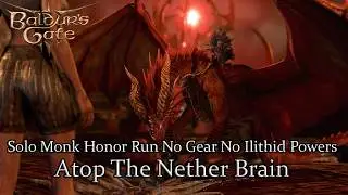 Solo Monk Atop The Nether Brain The End  - Honor Mode No Gear No Ilithid Powers