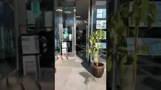 Avocado's New Office
