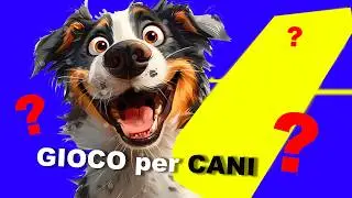 Gioco fai da te per cani